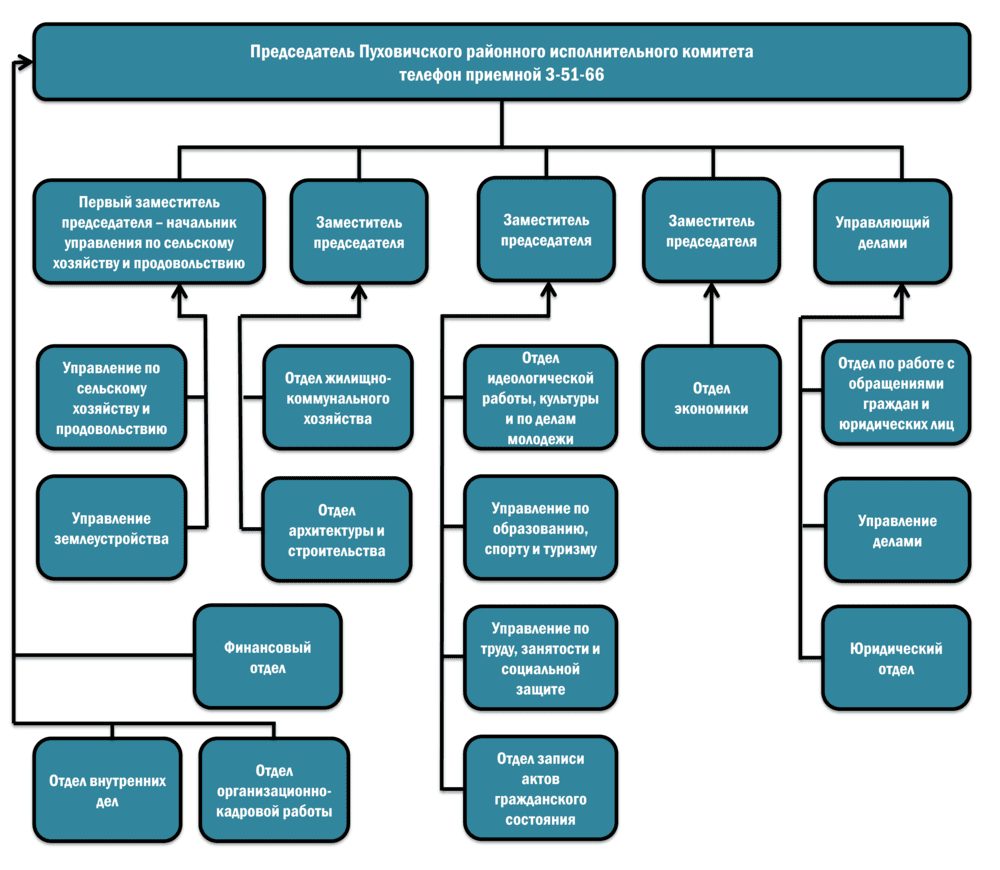 Пуховичский районный исполнительный комитет - Структура
