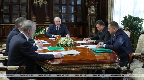 Lukashenko briefed on forest clean-up after January storm