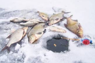 Акция “Рыбалка по правилам” проходит на водоемах Пуховичского района