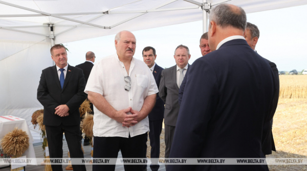 Lukashenko urges farmers to maintain momentum in field works