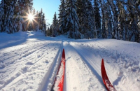 Приглашаем жителей района на зимний праздник «Пуховичская лыжня-2021»