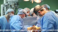 Mitkovskaya: Belarusian heart surgeons are on par with world&#039;s best
