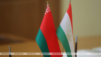Belarus-Tajikistan cooperation in energy industry discussed