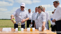 Lukashenko sets goal for 10m-tonne grain harvest in Belarus