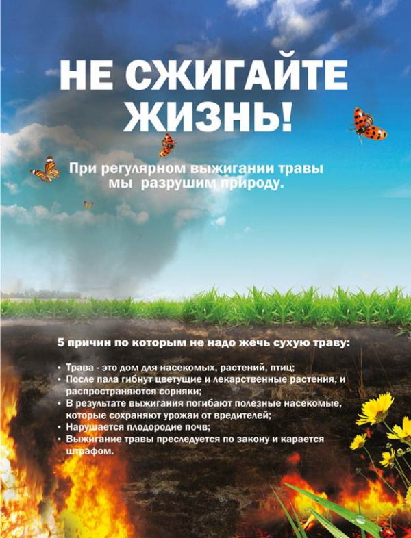 Информация о чрезвычайных ситуациях на территории Пуховичского района (с 11.04.2022 года по 17.04.2022 года)
