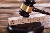 75 real estates put up for auction in Minsk region