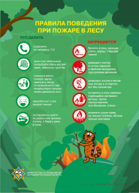 Информация о чрезвычайных ситуациях на территории Пуховичского района (с 27.06.2022 года по 04.07.2022 года