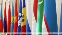 Experts discuss ministerial cooperation in CIS