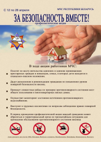 В Пуховичском районе проходит акция «За безопасность — вместе»
