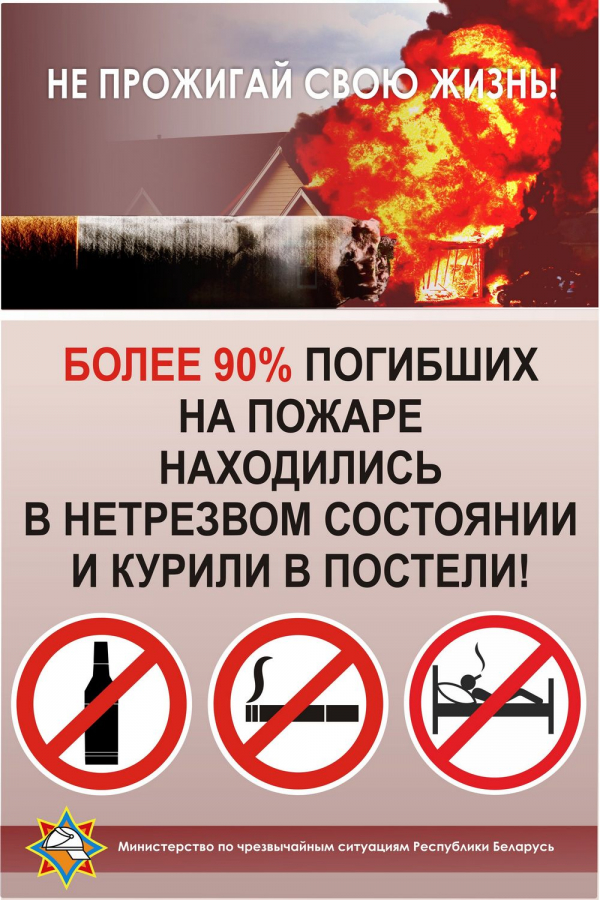 Информация о чрезвычайных ситуациях на территории Пуховичского района (с 16.01.2023 года по 22.01.2023 года)