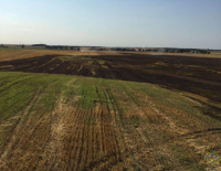 70 гектаров ячменя на корню спасли в Пуховичском районе