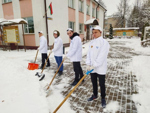 В Пуховичском районе начала работать горячая линия по уборке снега для пожилых людей