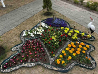 В Пуховичском районе прошел конкурс среди учреждений образования на лучшее оформление газонов и создание цветочных композиций