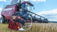 Ivanov: Skillful harvesting is key to Belarus&#039; food security