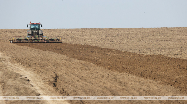 Belarus plans to seed 2.4m hectares with spring crops