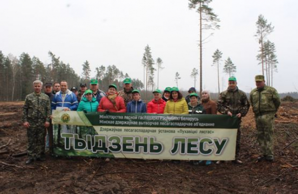 Пуховчане принимают участие в республиканской акции «Неделя леса»