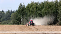 Winter rapeseed sowing almost complete in Belarus