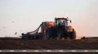 Early spring crops sowing in Belarus almost 40% complete
