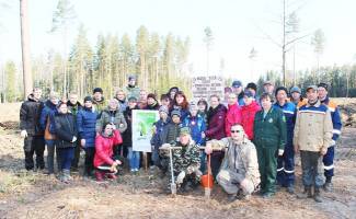 В Пуховичском районе дан старт акции «Неделя леса—2019»