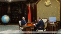 Lukashenko receives Belarus&#039; Ambassador to Russia Dmitry Krutoi