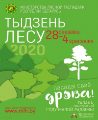 Пуховичский лесхоз предлагает пуховчанам присоединиться к акции «Неделя леса»