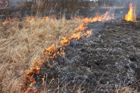 Неосторожное обращение с огнем является причиной возгорания сухой растительности и имущества (Пуховичский район)