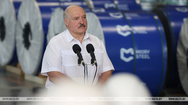 Lukashenko dismisses berry and mushroom tax speculations as nonsense