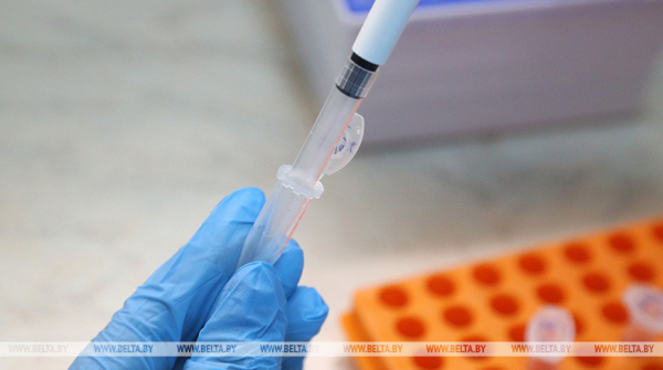 Belarus, Russia working on oral bacterial COVID-19 vaccine
