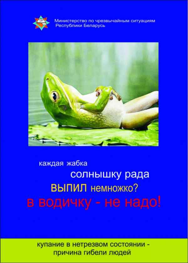 С начала купального сезона в Минской области, по оперативной информации, утонули 42 человека, из них 4 детей. Спасены 20 человек, из них 3 детей