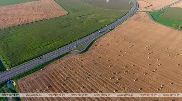 Lukashenko boards helicopter to inspect harvesting campaign progress in three oblasts